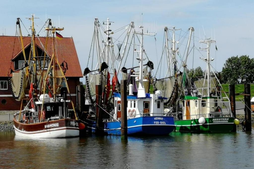 Am Kutterhafen 3 - Pier 3 Villa Fedderwardersiel Bagian luar foto